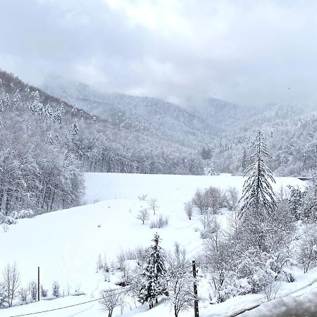 Nature View Apartment บราชอฟ ภายนอก รูปภาพ
