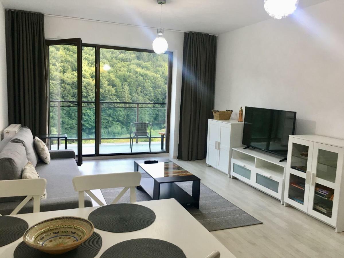 Nature View Apartment บราชอฟ ภายนอก รูปภาพ