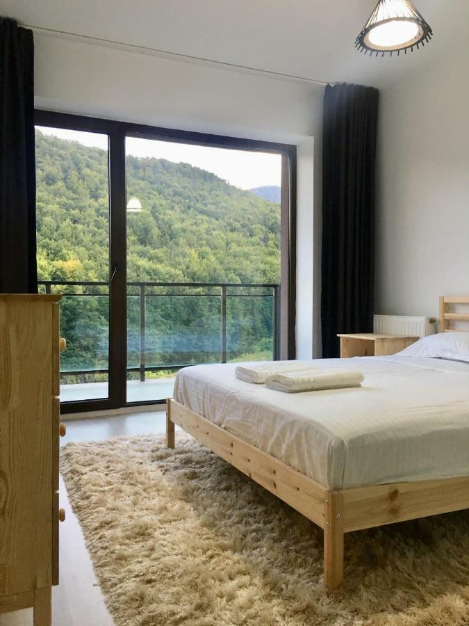 Nature View Apartment บราชอฟ ภายนอก รูปภาพ
