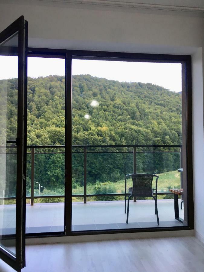 Nature View Apartment บราชอฟ ภายนอก รูปภาพ