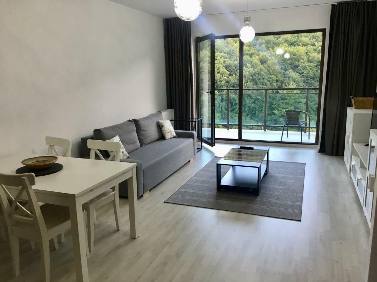 Nature View Apartment บราชอฟ ภายนอก รูปภาพ