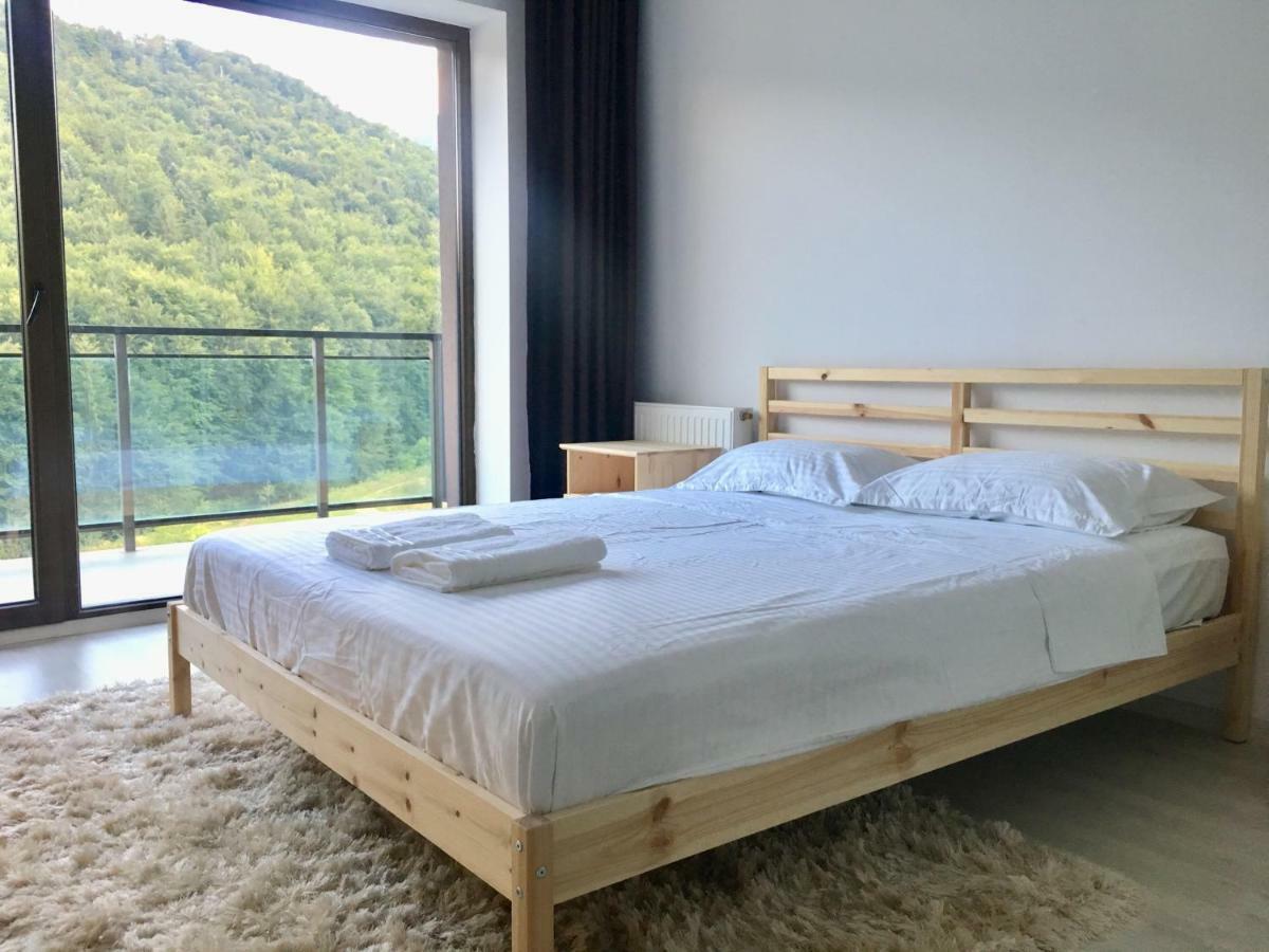Nature View Apartment บราชอฟ ภายนอก รูปภาพ