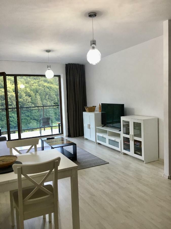 Nature View Apartment บราชอฟ ภายนอก รูปภาพ
