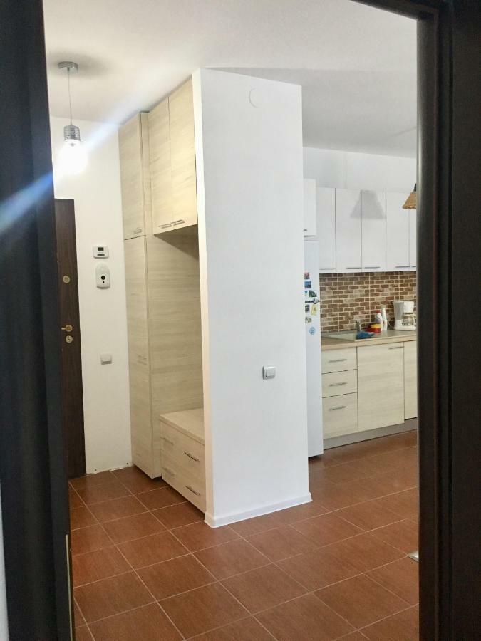 Nature View Apartment บราชอฟ ภายนอก รูปภาพ